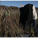 Foto: Urmas Mand. Argikoreograafia fotograafias fotolaager. Vana-Kasepääl, 17.-19. oktoober 2014.