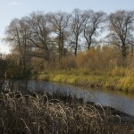 Foto: Tõnis Saadre. Argikoreograafia fotograafias fotolaager. Vana-Kasepääl, 17.-19. oktoober 2014.